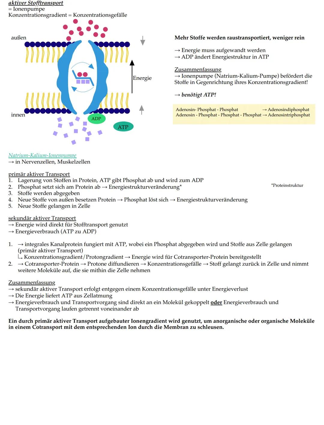 # Merkmale der Lebewesen

• Wachstum

• Fortpflanzung

• Bewegung

• Ernährung

• Stoffwechsel

• Ausscheidung

• Reizbarkeit

• (Lebewesen)