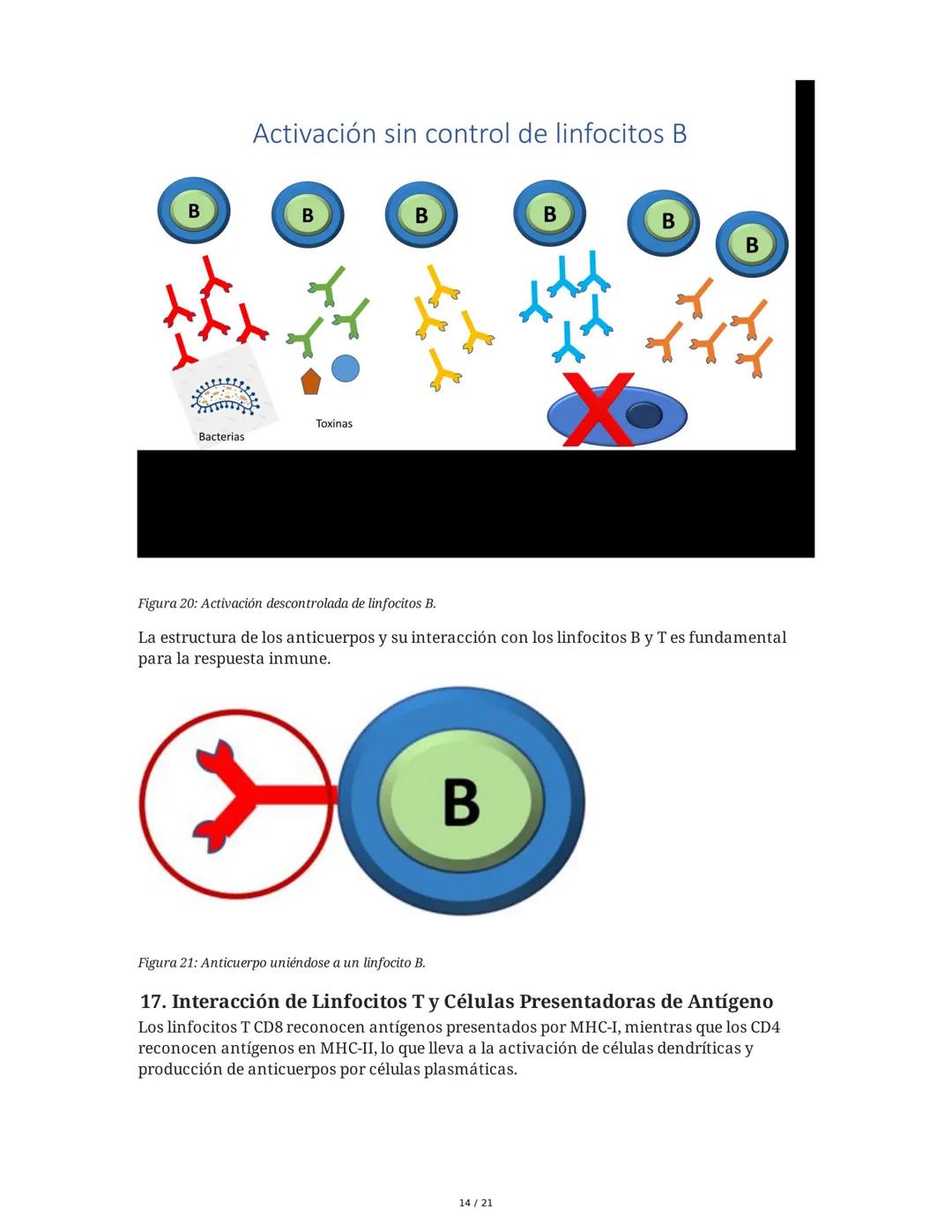 Antígeno e Inmunógeno
1. Introducción al Sistema Inmune
El sistema inmune está compuesto por órganos y células especializadas que trabajan e