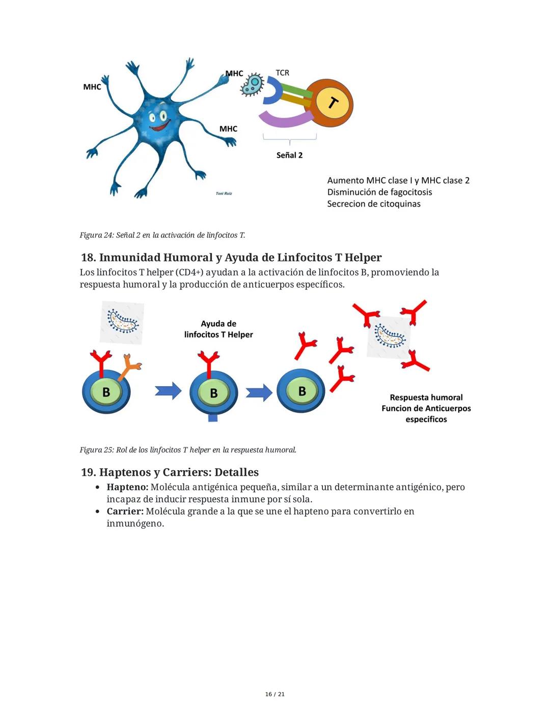 Antígeno e Inmunógeno
1. Introducción al Sistema Inmune
El sistema inmune está compuesto por órganos y células especializadas que trabajan e