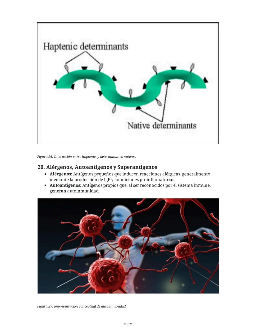 Antígeno e Inmunógeno
1. Introducción al Sistema Inmune
El sistema inmune está compuesto por órganos y células especializadas que trabajan e