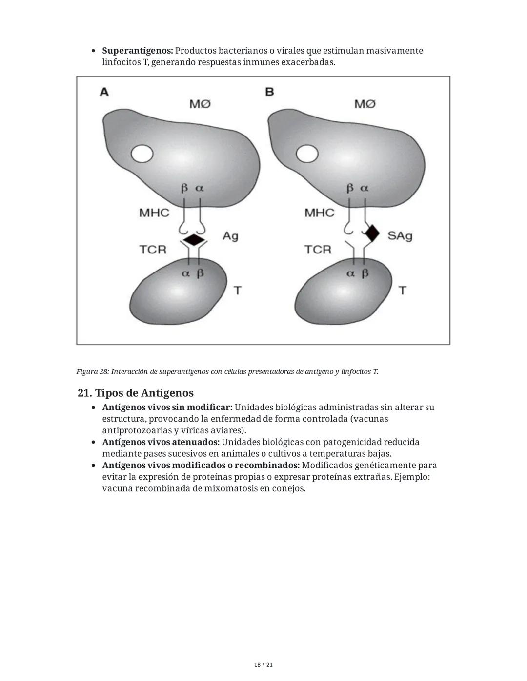 Antígeno e Inmunógeno
1. Introducción al Sistema Inmune
El sistema inmune está compuesto por órganos y células especializadas que trabajan e