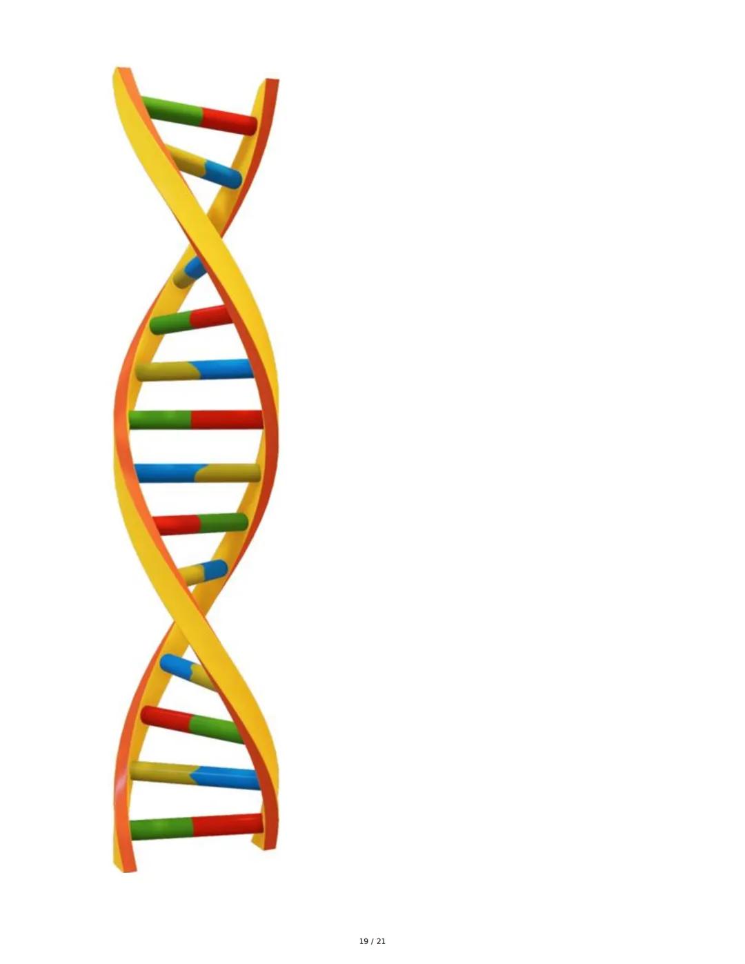 Antígeno e Inmunógeno
1. Introducción al Sistema Inmune
El sistema inmune está compuesto por órganos y células especializadas que trabajan e