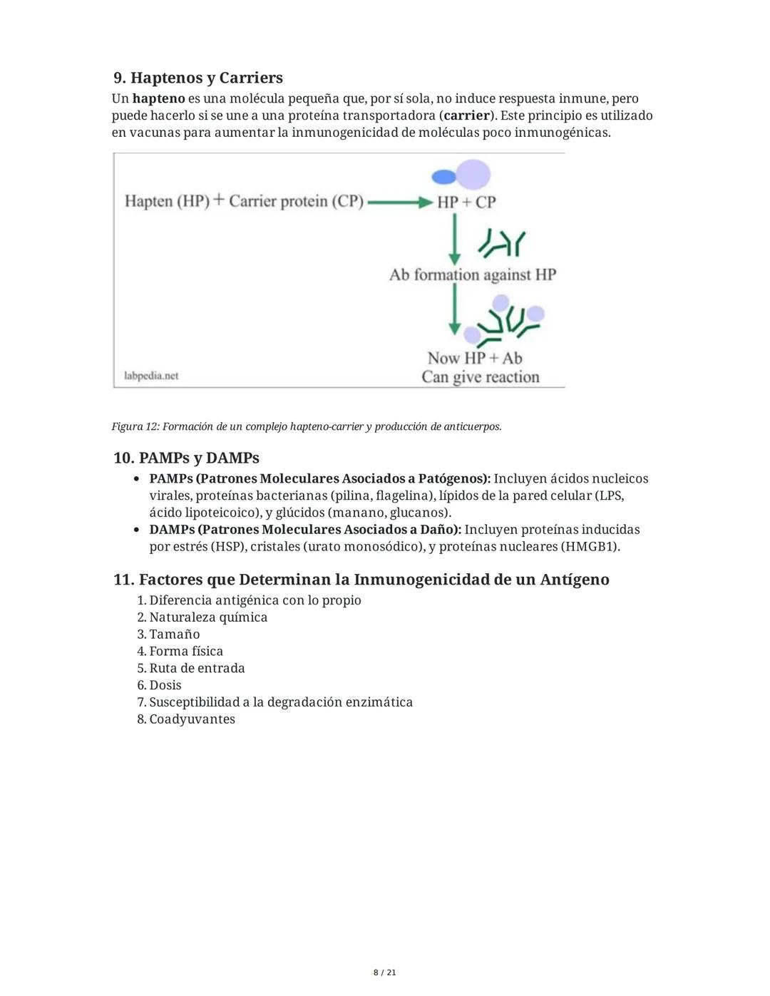 Antígeno e Inmunógeno
1. Introducción al Sistema Inmune
El sistema inmune está compuesto por órganos y células especializadas que trabajan e