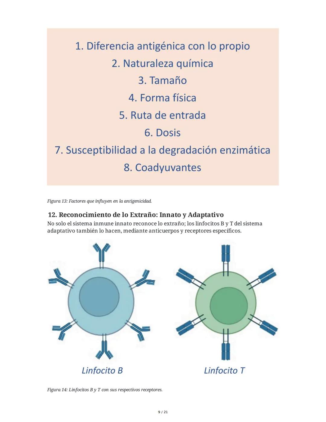 Antígeno e Inmunógeno
1. Introducción al Sistema Inmune
El sistema inmune está compuesto por órganos y células especializadas que trabajan e