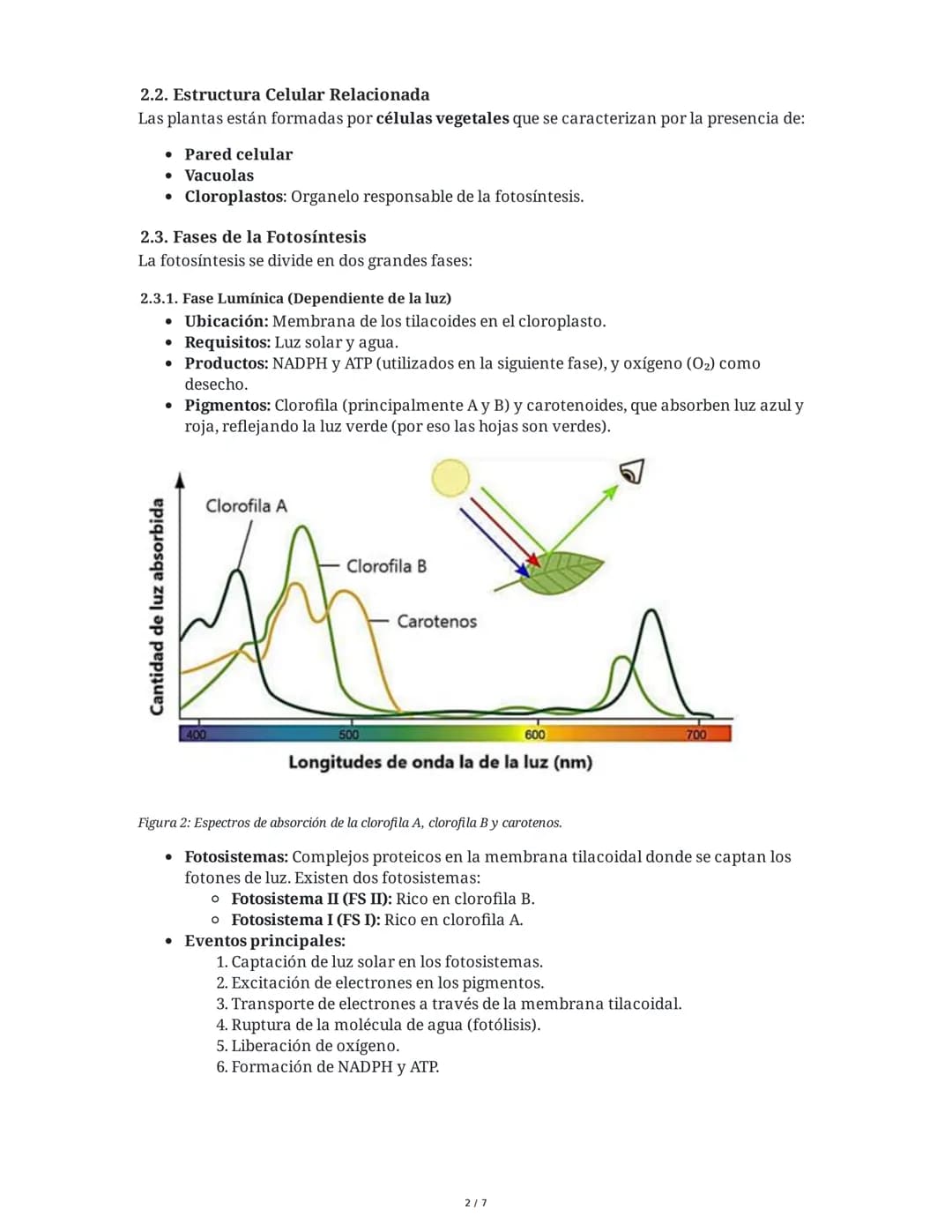 Guía de Biología: Fotosíntesis y Respiración Celular
1. Introducción: Materia y Energía en los Ecosistemas
La fotosíntesis y la respiración 