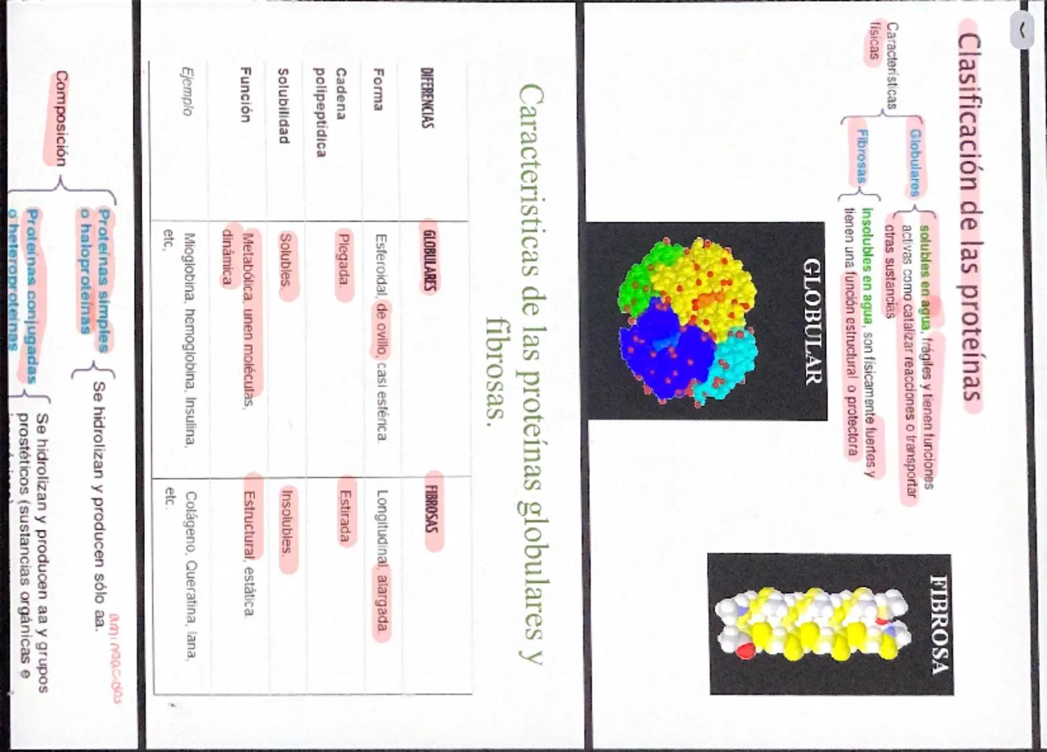 NUTRIENTE Y ALIMENTO
Nutrientes
Son los que aportan la materia de
energía necesarias. La materia
permite formar nuevas células y
reponer las