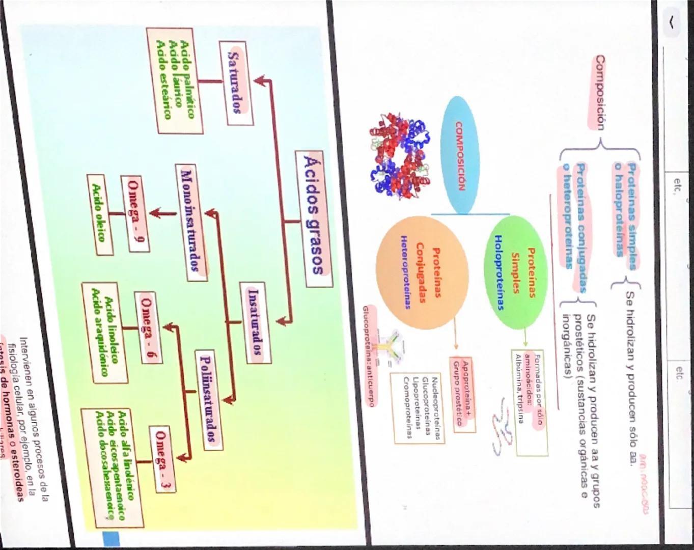 NUTRIENTE Y ALIMENTO
Nutrientes
Son los que aportan la materia de
energía necesarias. La materia
permite formar nuevas células y
reponer las