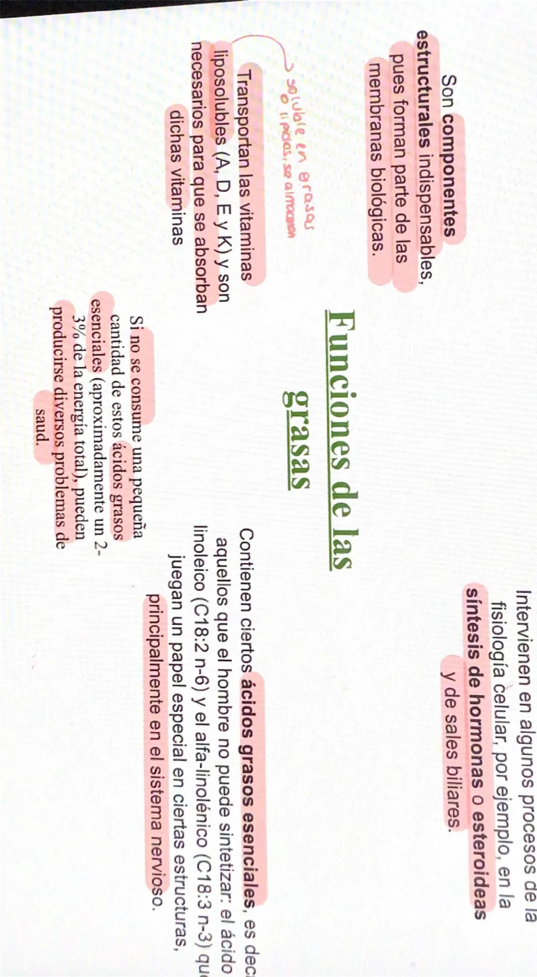NUTRIENTE Y ALIMENTO
Nutrientes
Son los que aportan la materia de
energía necesarias. La materia
permite formar nuevas células y
reponer las