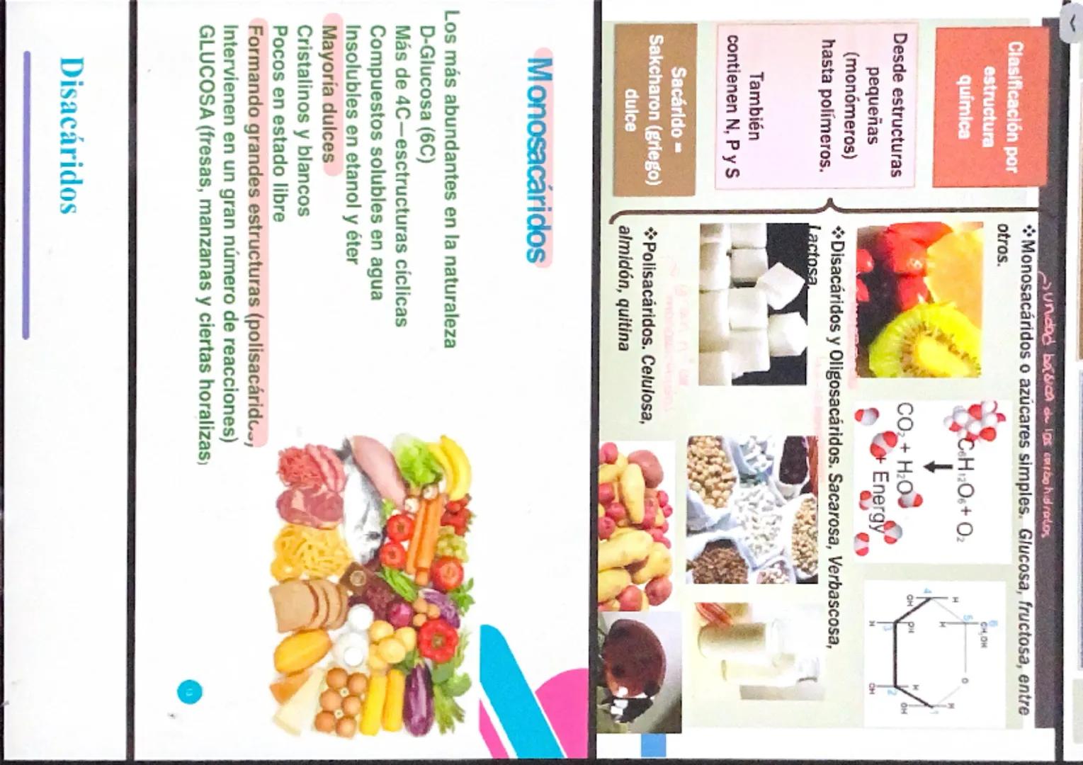 NUTRIENTE Y ALIMENTO
Nutrientes
Son los que aportan la materia de
energía necesarias. La materia
permite formar nuevas células y
reponer las