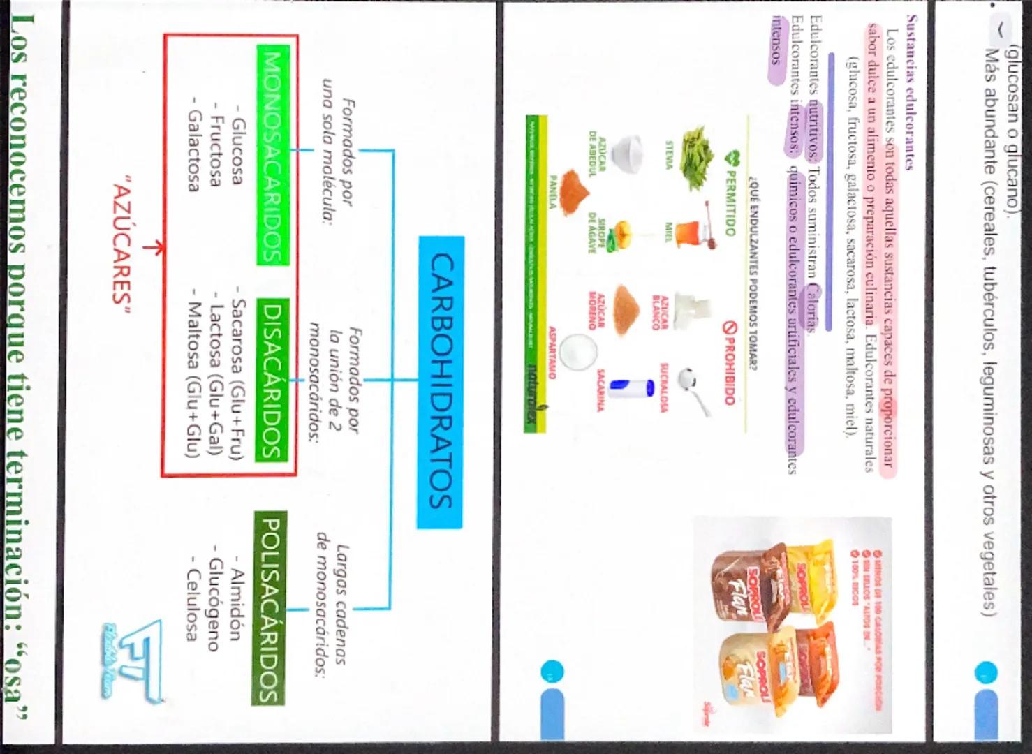 NUTRIENTE Y ALIMENTO
Nutrientes
Son los que aportan la materia de
energía necesarias. La materia
permite formar nuevas células y
reponer las