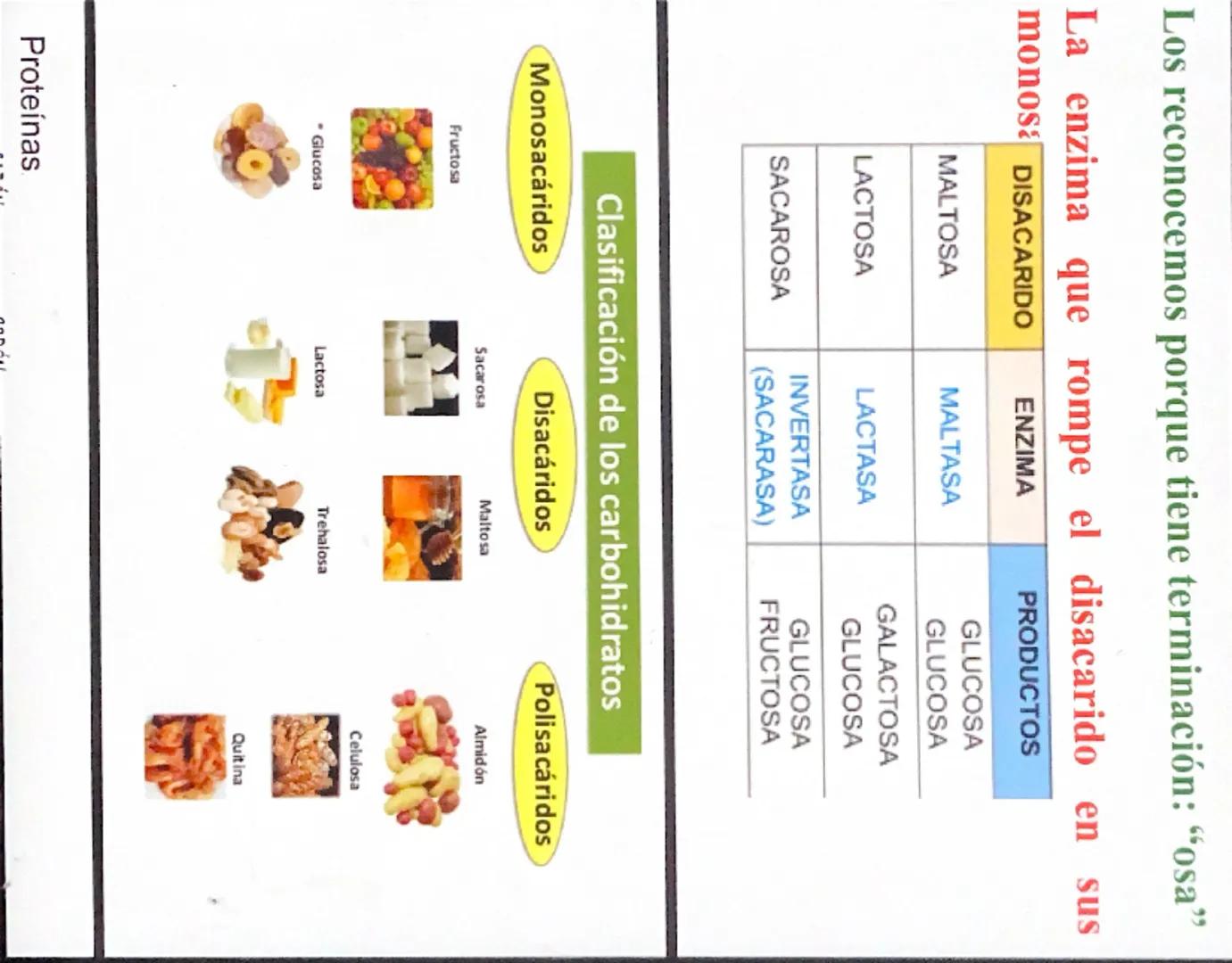NUTRIENTE Y ALIMENTO
Nutrientes
Son los que aportan la materia de
energía necesarias. La materia
permite formar nuevas células y
reponer las