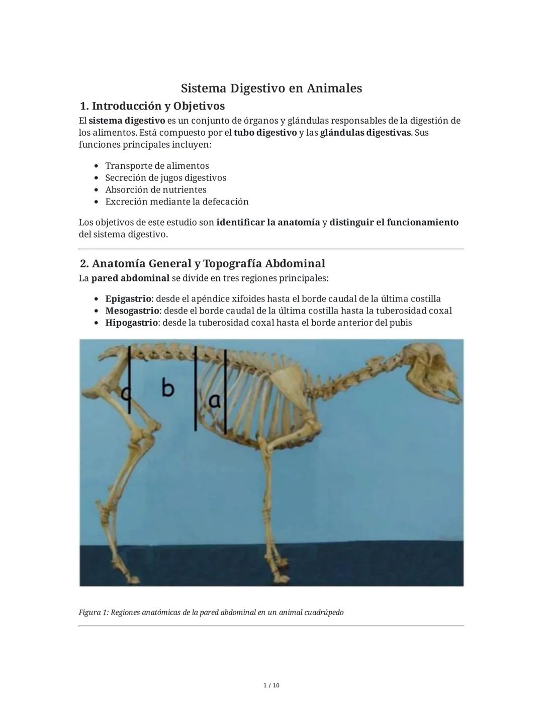 Sistema Digestivo en Animales
1. Introducción y Objetivos
El sistema digestivo es un conjunto de órganos y glándulas responsables de la dige