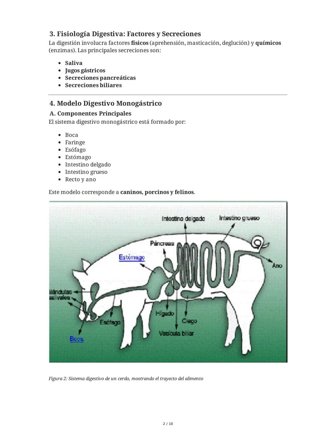 Sistema Digestivo en Animales
1. Introducción y Objetivos
El sistema digestivo es un conjunto de órganos y glándulas responsables de la dige