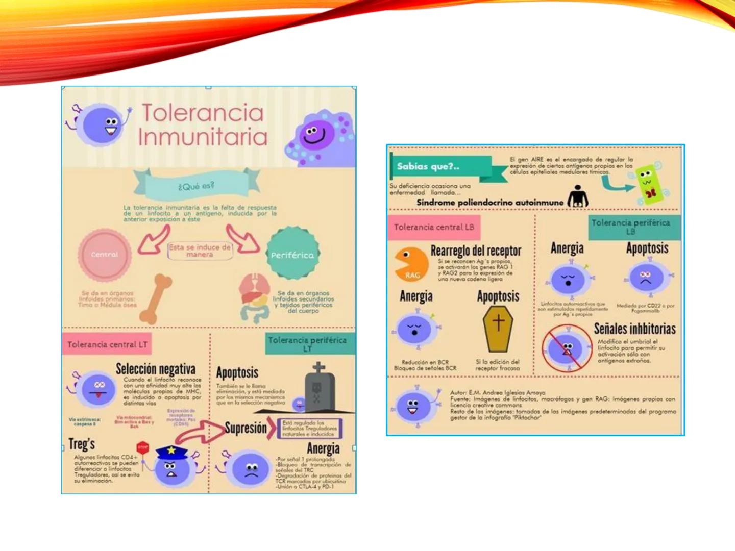 C
E
Universidad
Central
Facultad de Ciencias
de la Salud
TOLERANCIA Y
VACUNACION
TM Camilo Ortega Villanueva
TM Daniela Ovalle Vidangossy
Ca