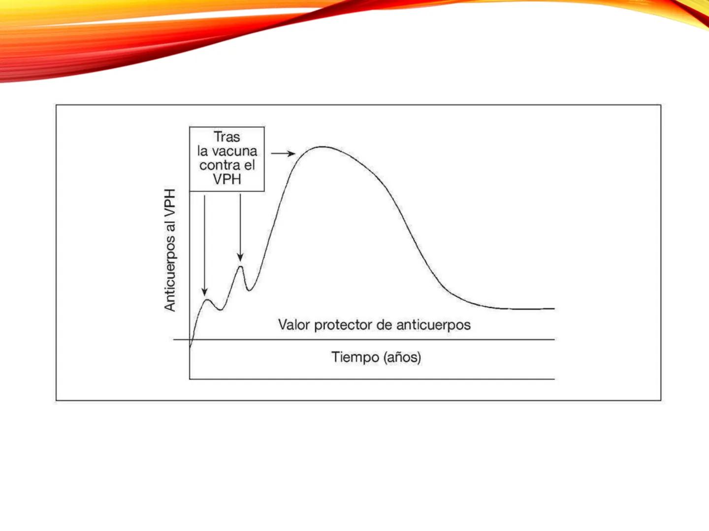 C
E
Universidad
Central
Facultad de Ciencias
de la Salud
TOLERANCIA Y
VACUNACION
TM Camilo Ortega Villanueva
TM Daniela Ovalle Vidangossy
Ca