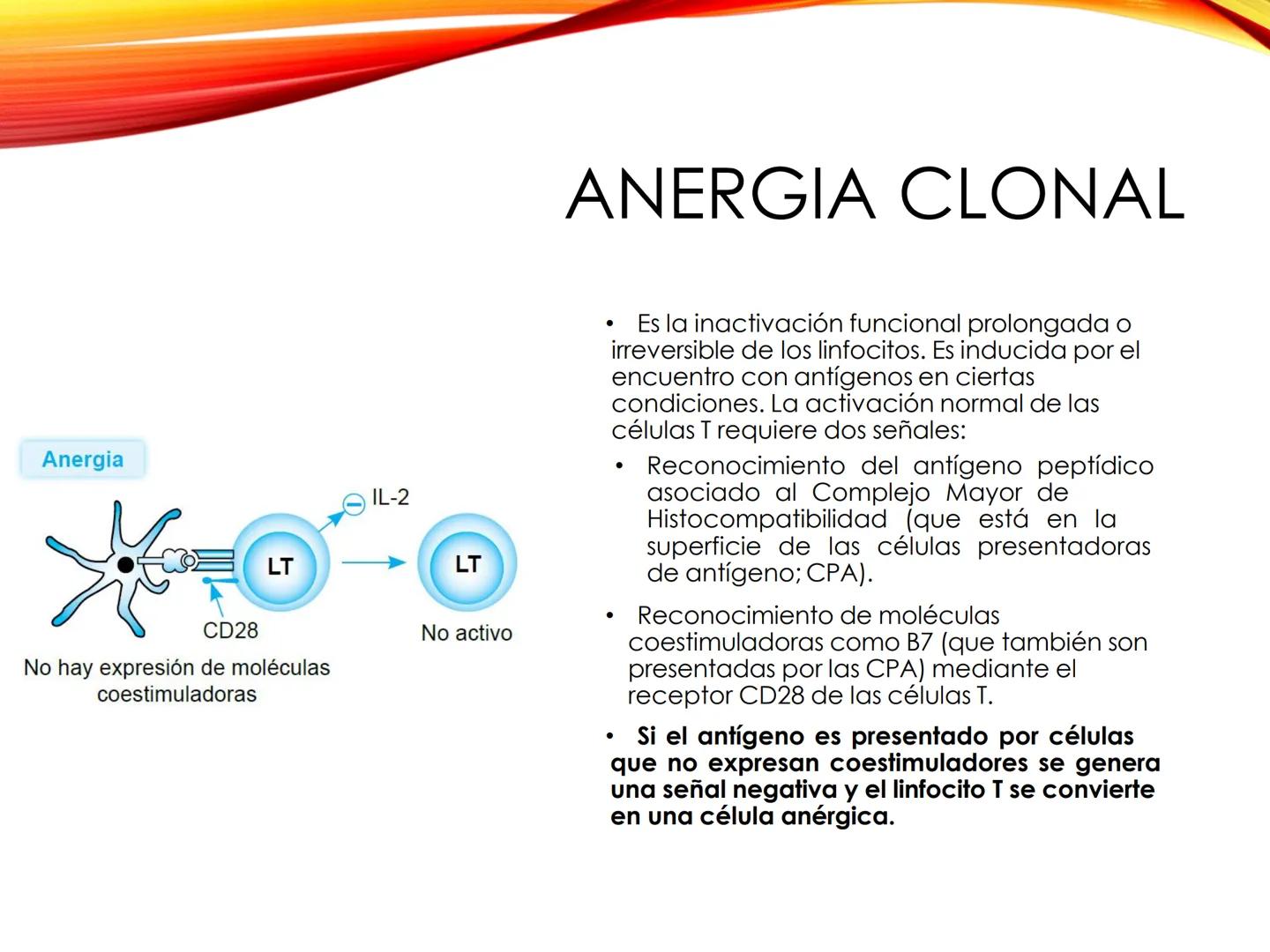 C
E
Universidad
Central
Facultad de Ciencias
de la Salud
TOLERANCIA Y
VACUNACION
TM Camilo Ortega Villanueva
TM Daniela Ovalle Vidangossy
Ca