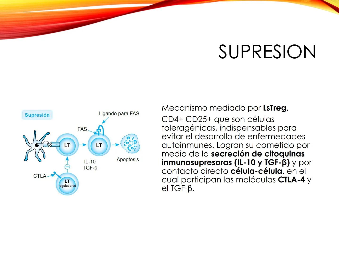 C
E
Universidad
Central
Facultad de Ciencias
de la Salud
TOLERANCIA Y
VACUNACION
TM Camilo Ortega Villanueva
TM Daniela Ovalle Vidangossy
Ca
