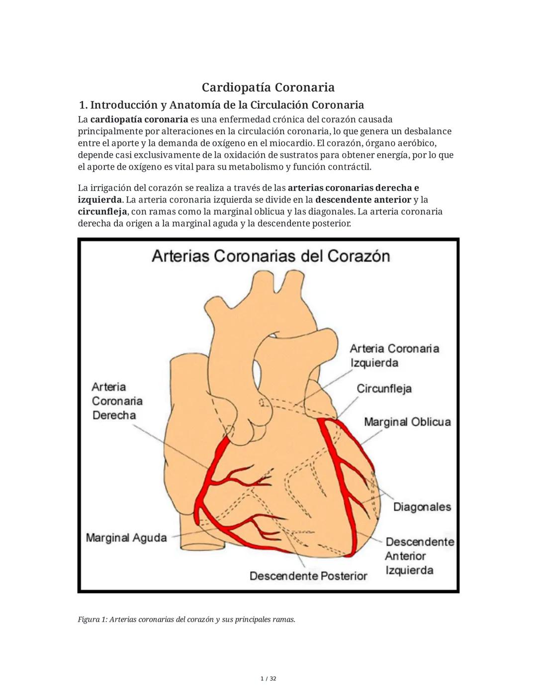 ## Cardiopatía Coronaria

### 1. Introducción y Anatomía de la Circulación Coronaria

La cardiopatía coronaria es una enfermedad crónica del