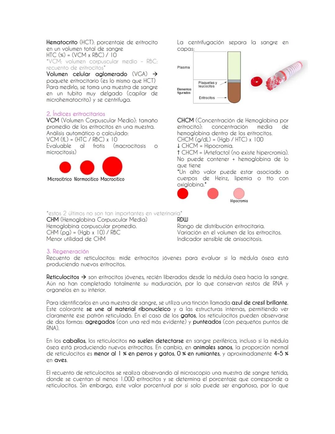Introducción a la Hematología y evaluación de la serie Roja
Evaluación de la serie roja
Eritropoyesis→ proceso por el cual se producen los g
