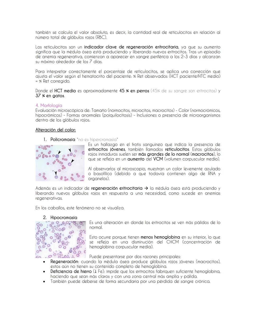 Introducción a la Hematología y evaluación de la serie Roja
Evaluación de la serie roja
Eritropoyesis→ proceso por el cual se producen los g
