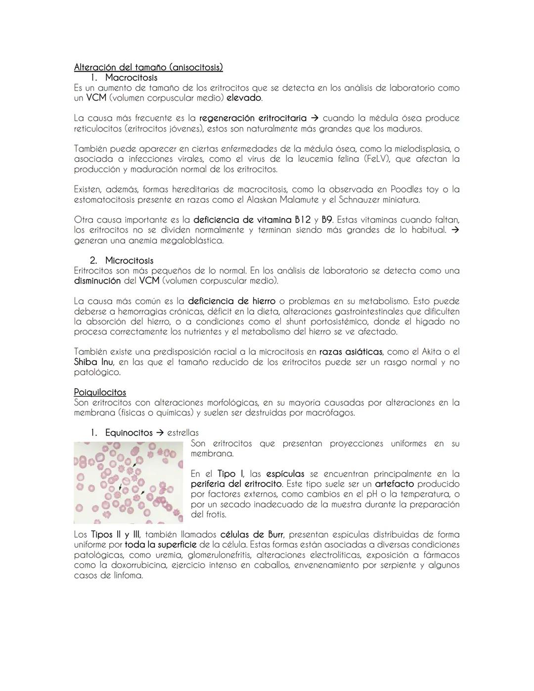 Introducción a la Hematología y evaluación de la serie Roja
Evaluación de la serie roja
Eritropoyesis→ proceso por el cual se producen los g