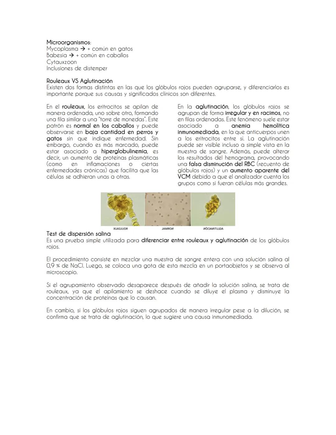 Introducción a la Hematología y evaluación de la serie Roja
Evaluación de la serie roja
Eritropoyesis→ proceso por el cual se producen los g