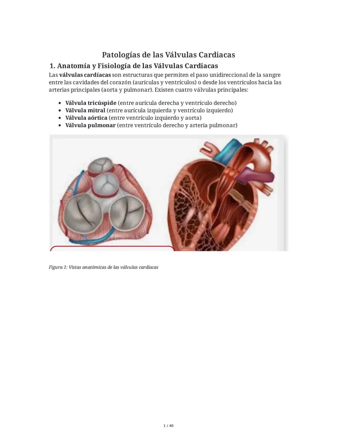 Patologías de las Válvulas Cardiacas