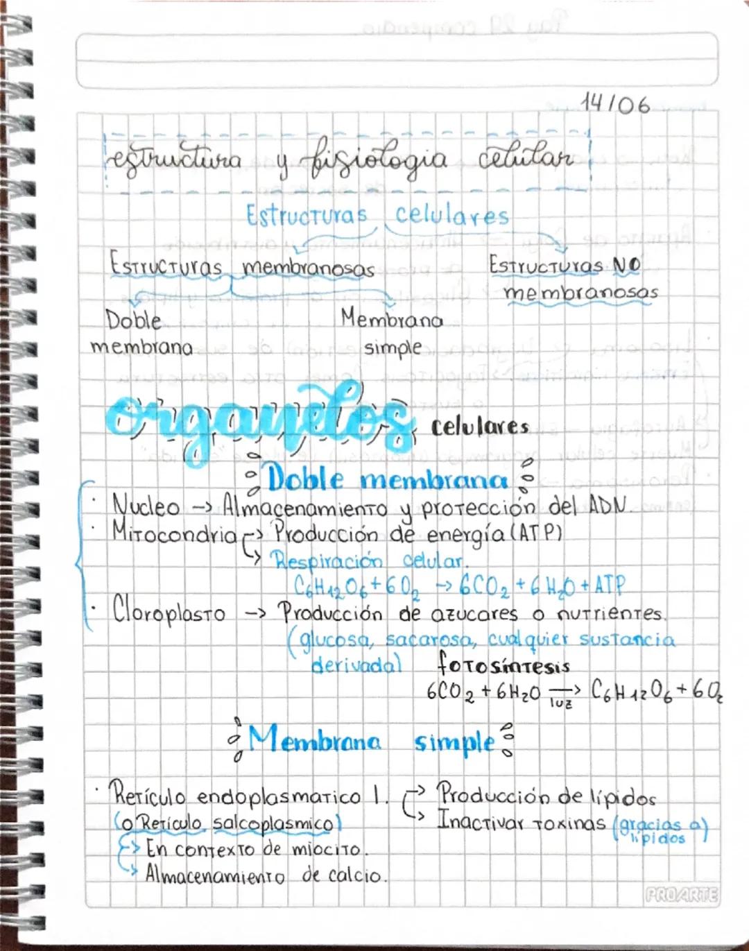 Características de los Organelos Celulares