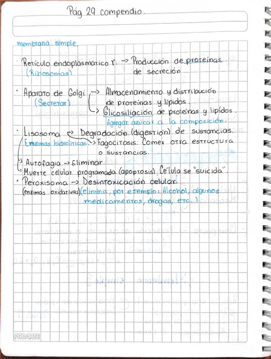 # 14/06

# estructura y fisiología celular

## Estructuras celulares

## Estructuras membranosos

Doble
membrana

Membrana
simple

# orgánul