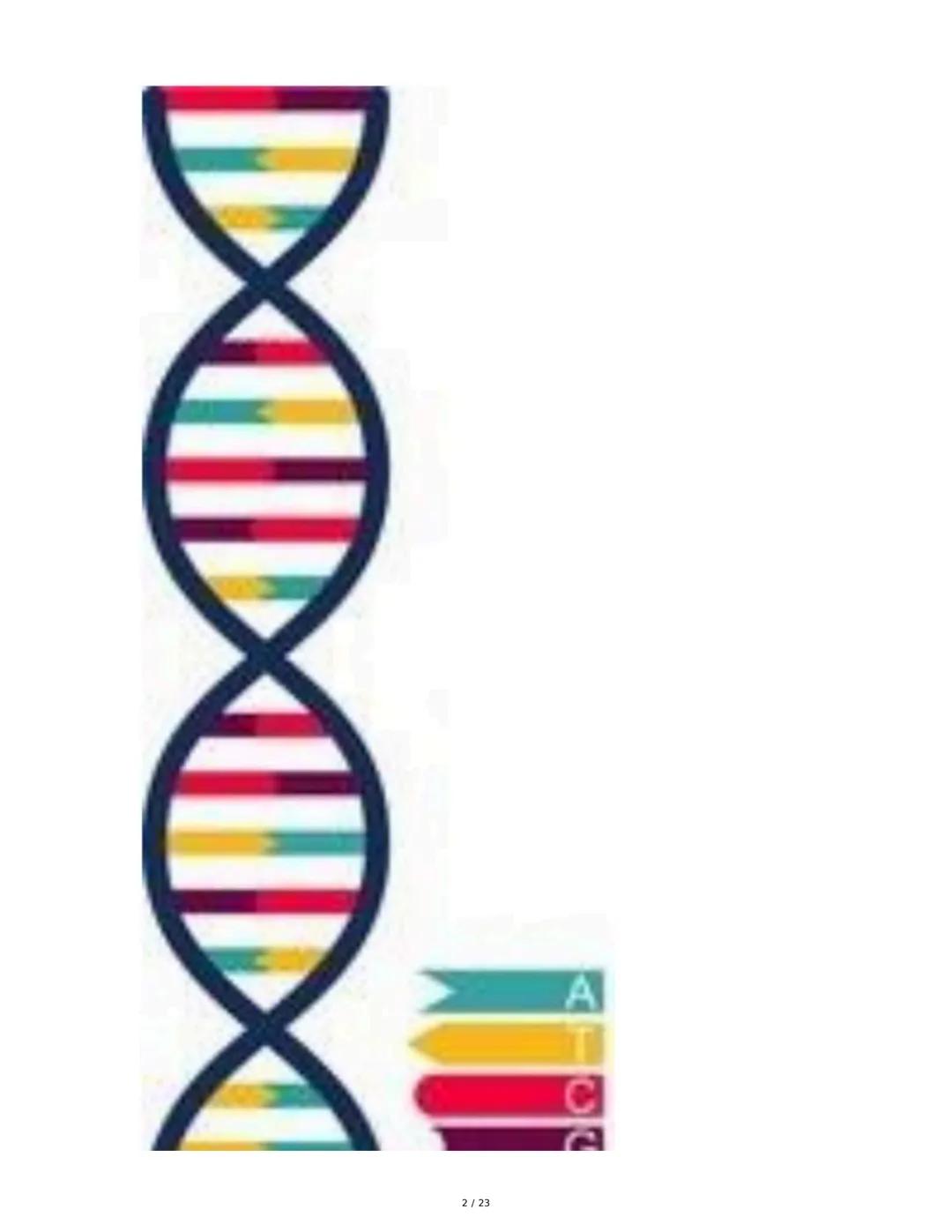 Estructura general y características del ADN Y ARN
Introducción a los Ácidos Nucleicos
Los ácidos nucleicos son macromoléculas esenciales pa