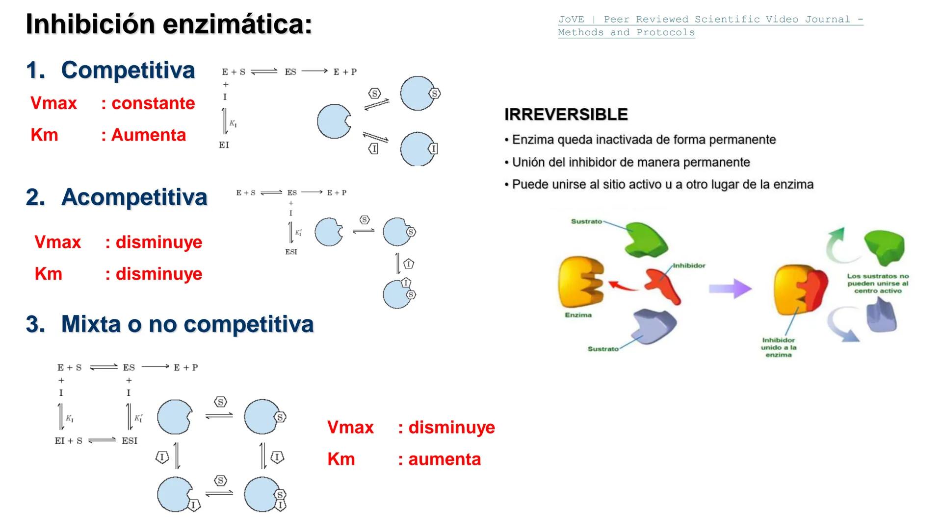 UNIVERSIDAD ANDRÉS BELLO
Facultad de Ciencias de la Vida
Departamento de Ciencias Biológicas
Curso: Bioquímica / BIOL166
PPT Reforzamiento
E