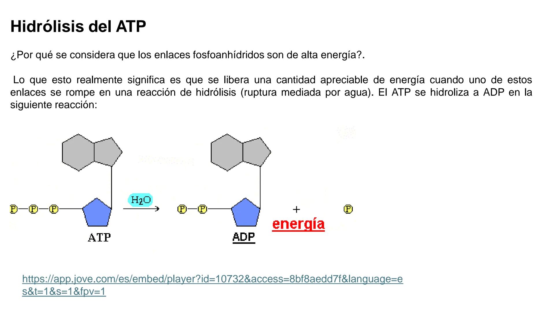 UNIVERSIDAD ANDRÉS BELLO
Facultad de Ciencias de la Vida
Departamento de Ciencias Biológicas
Curso: Bioquímica / BIOL166
PPT Reforzamiento
E
