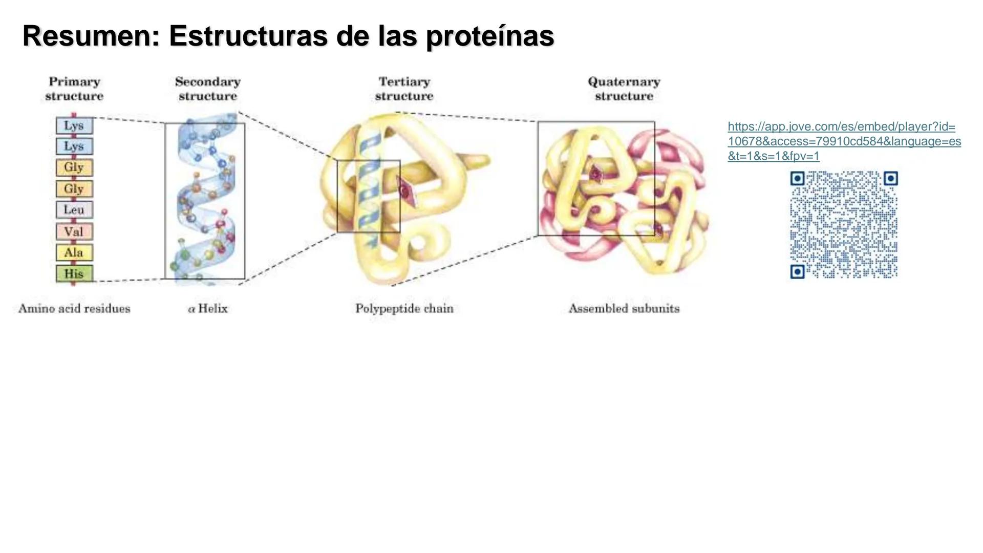 UNIVERSIDAD ANDRÉS BELLO
Facultad de Ciencias de la Vida
Departamento de Ciencias Biológicas
Curso: Bioquímica / BIOL166
PPT Reforzamiento
E