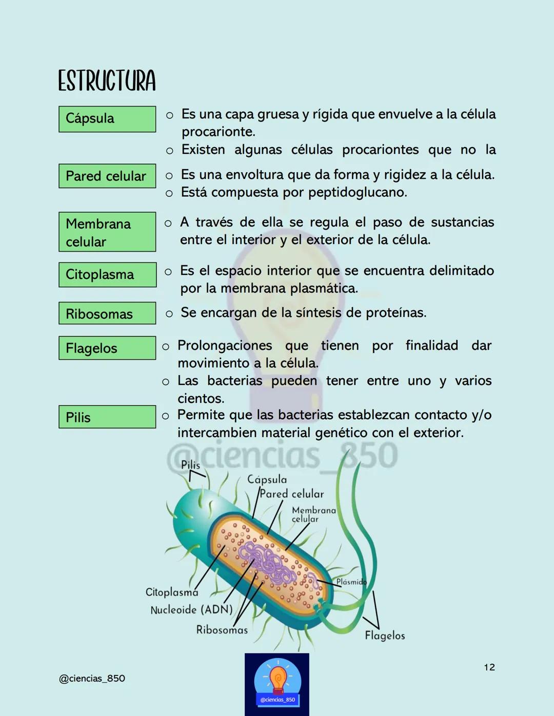 # MÉTODO

# CIENTÍFICO

@@ciencias_850

@ciencias_850

3

@ciencias_850 # DEFINICIONES IMPORTANTES

*   Hipótesis
    *   Una hipótesis es u