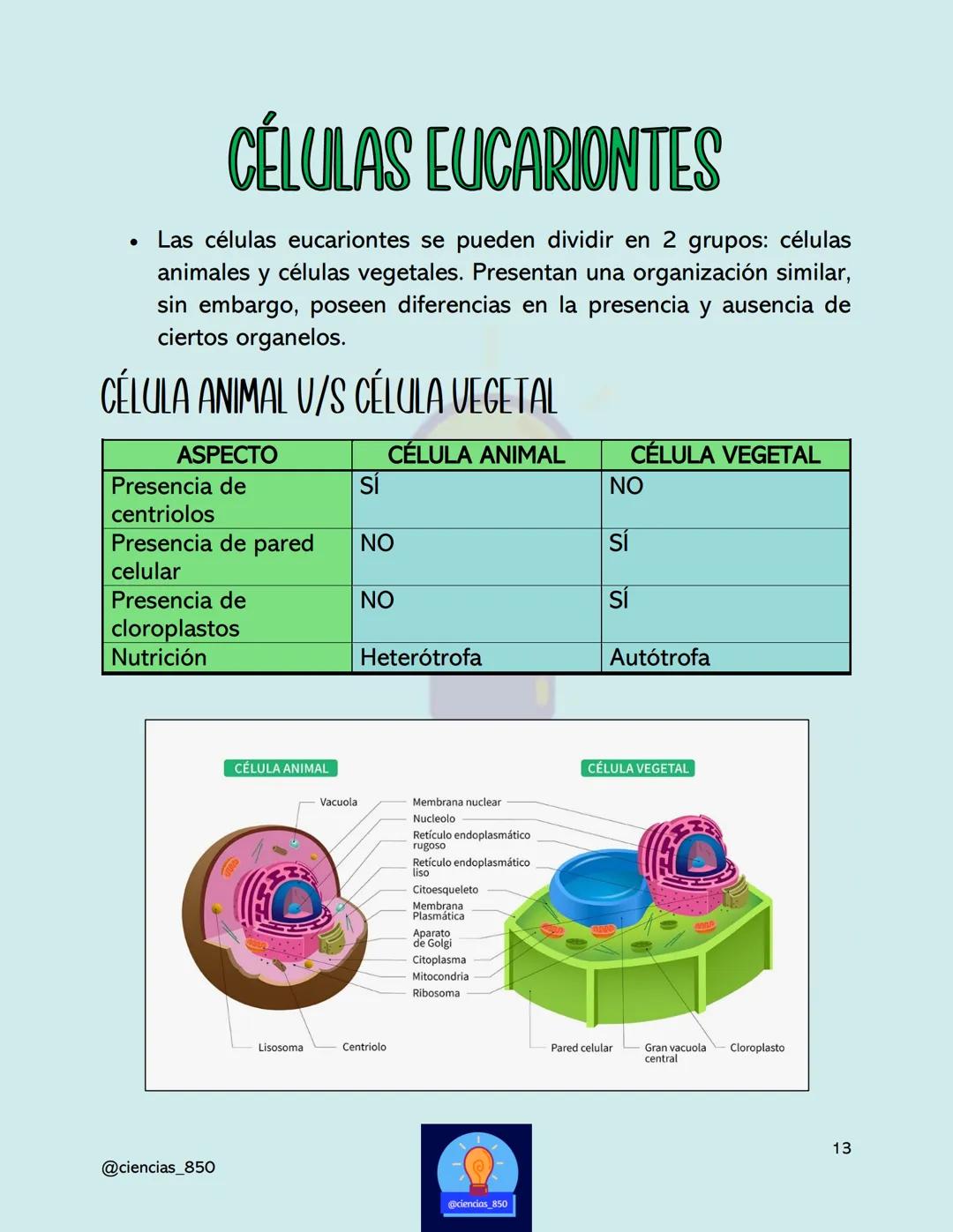 # MÉTODO

# CIENTÍFICO

@@ciencias_850

@ciencias_850

3

@ciencias_850 # DEFINICIONES IMPORTANTES

*   Hipótesis
    *   Una hipótesis es u