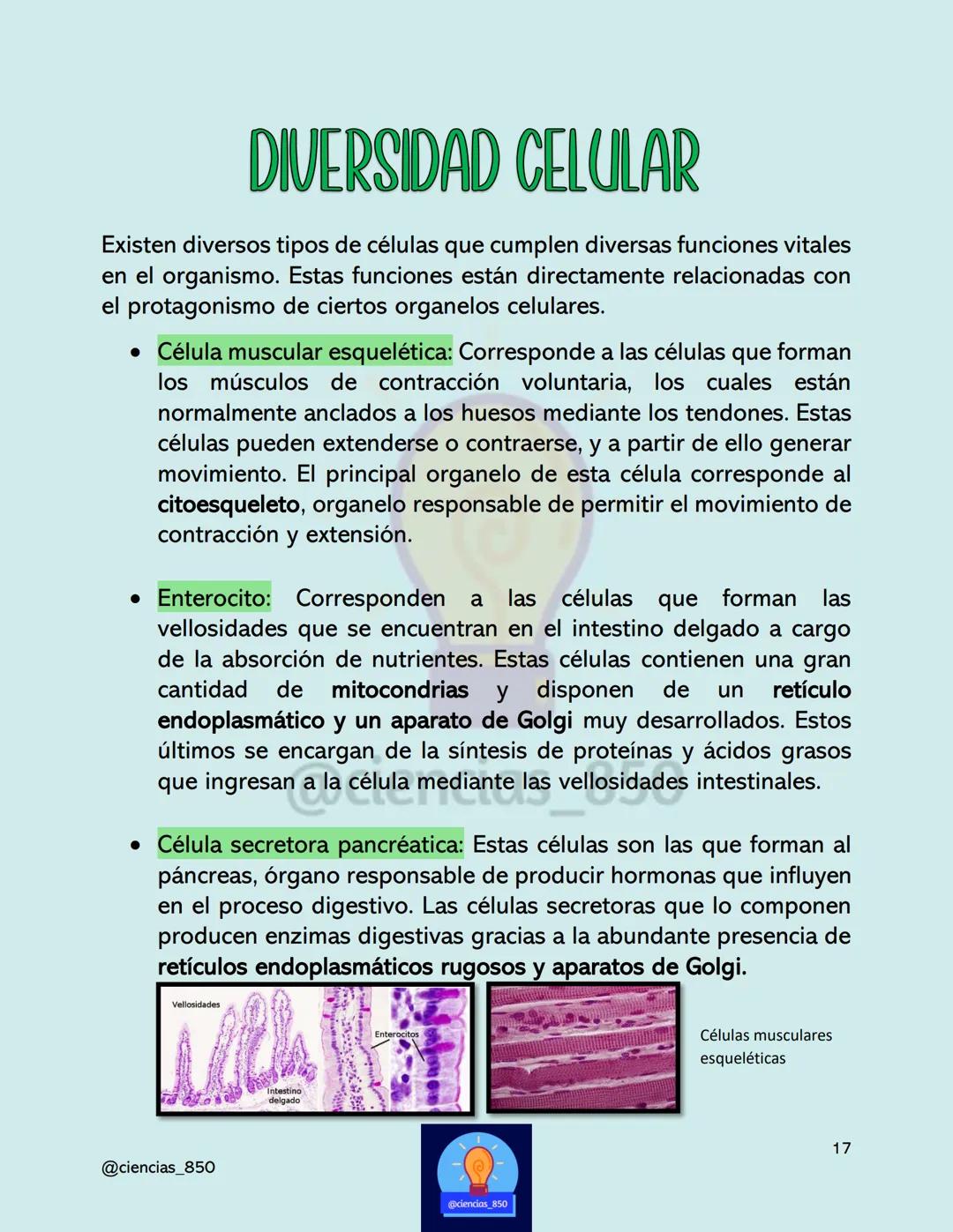 # MÉTODO

# CIENTÍFICO

@@ciencias_850

@ciencias_850

3

@ciencias_850 # DEFINICIONES IMPORTANTES

*   Hipótesis
    *   Una hipótesis es u