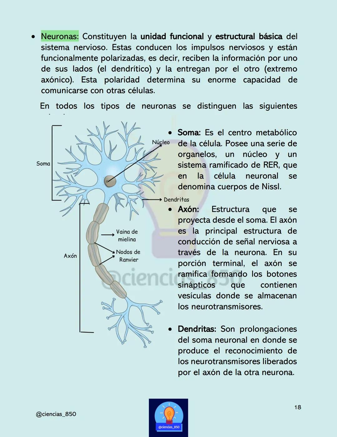 # MÉTODO

# CIENTÍFICO

@@ciencias_850

@ciencias_850

3

@ciencias_850 # DEFINICIONES IMPORTANTES

*   Hipótesis
    *   Una hipótesis es u