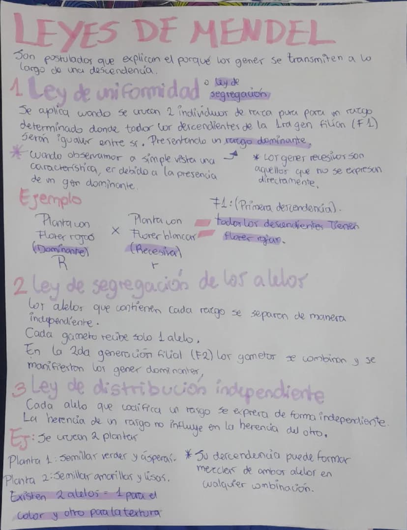 LEYES DE MENDEL
Son postulados que explican el porqué lor gener se transmiten a lo
largo de una descendencia.
。 ley de
Ley de uniformidad se