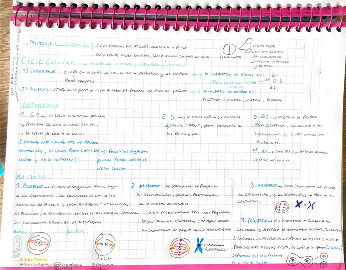 Antes de phe owana n
miros in CELA PASA Dan in

!mitosis! QUE es? es el proceso pon el CUAL UNACELA Se Divce
ev z cecato nijas Denticas, cou