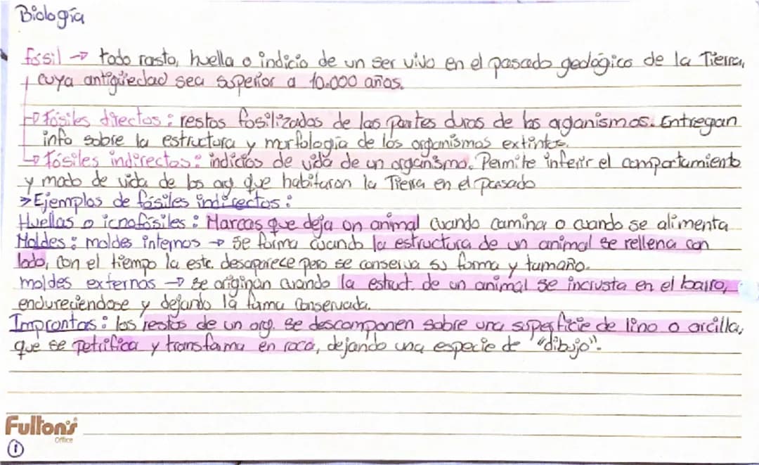 fósiles, fosilización, evidencias de la evolución