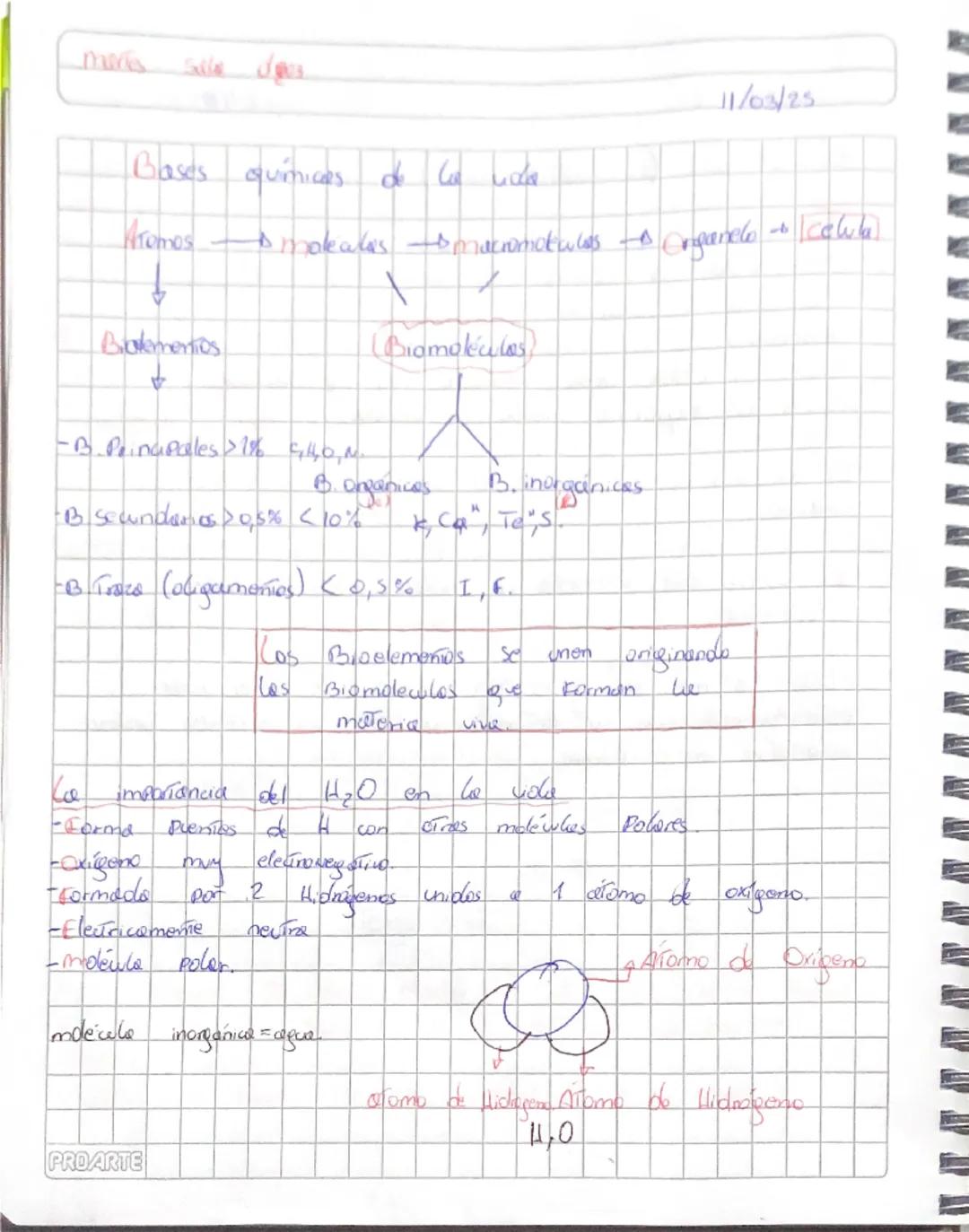 Las bases químicas esenciales de la vida