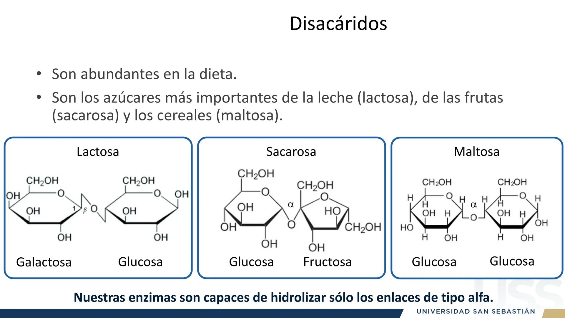 RAZON
VERDAD

+++
1989
UNIVERSIDAD
SAN SEBASTIAN
Ilumina el futuro

DBIO1092:
BIOQUÍMICA GENERAL
TEÓRICO RAZON
VERDAD
+++
1989
UNIVERSIDAD
S