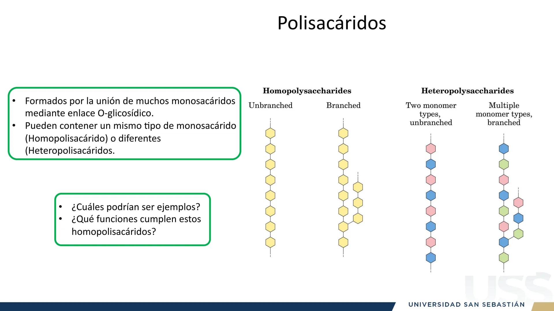 RAZON
VERDAD

+++
1989
UNIVERSIDAD
SAN SEBASTIAN
Ilumina el futuro

DBIO1092:
BIOQUÍMICA GENERAL
TEÓRICO RAZON
VERDAD
+++
1989
UNIVERSIDAD
S