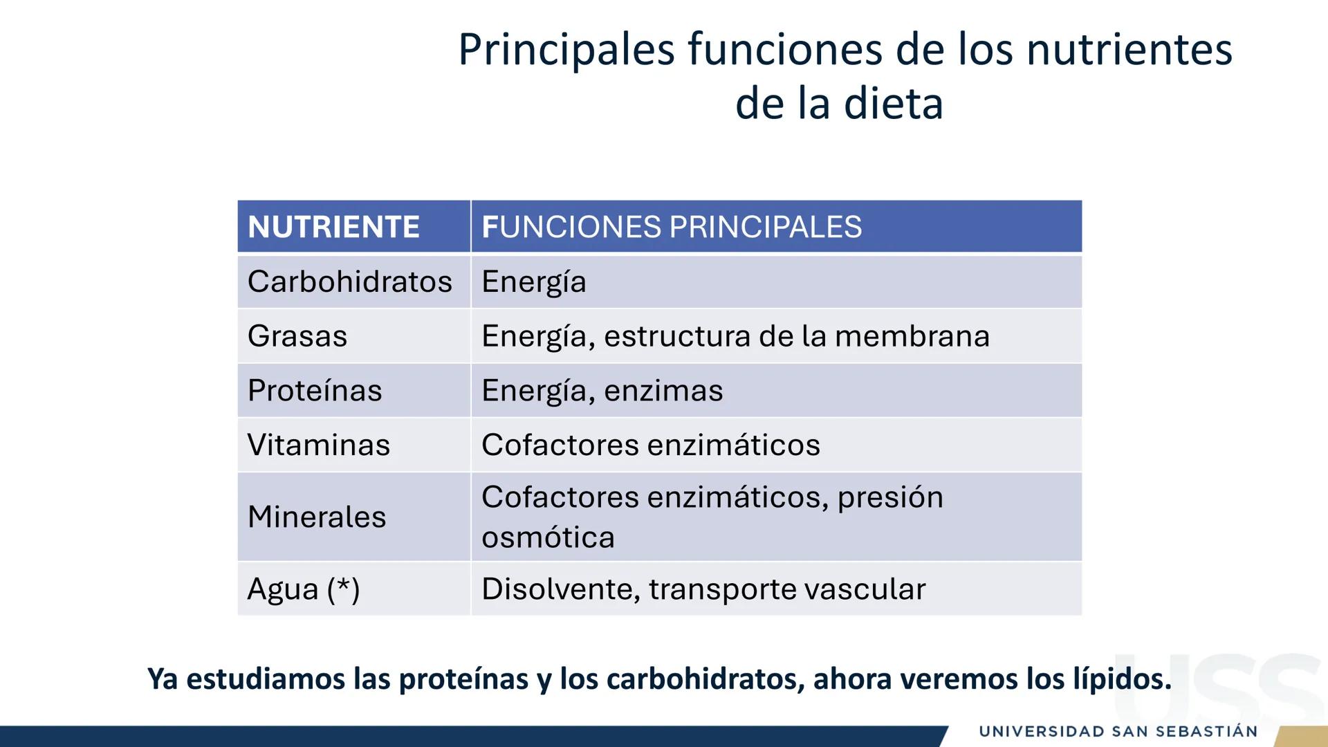 RAZON
VERDAD

+++
1989
UNIVERSIDAD
SAN SEBASTIAN
Ilumina el futuro

DBIO1092:
BIOQUÍMICA GENERAL
TEÓRICO RAZON
VERDAD
+++
1989
UNIVERSIDAD
S