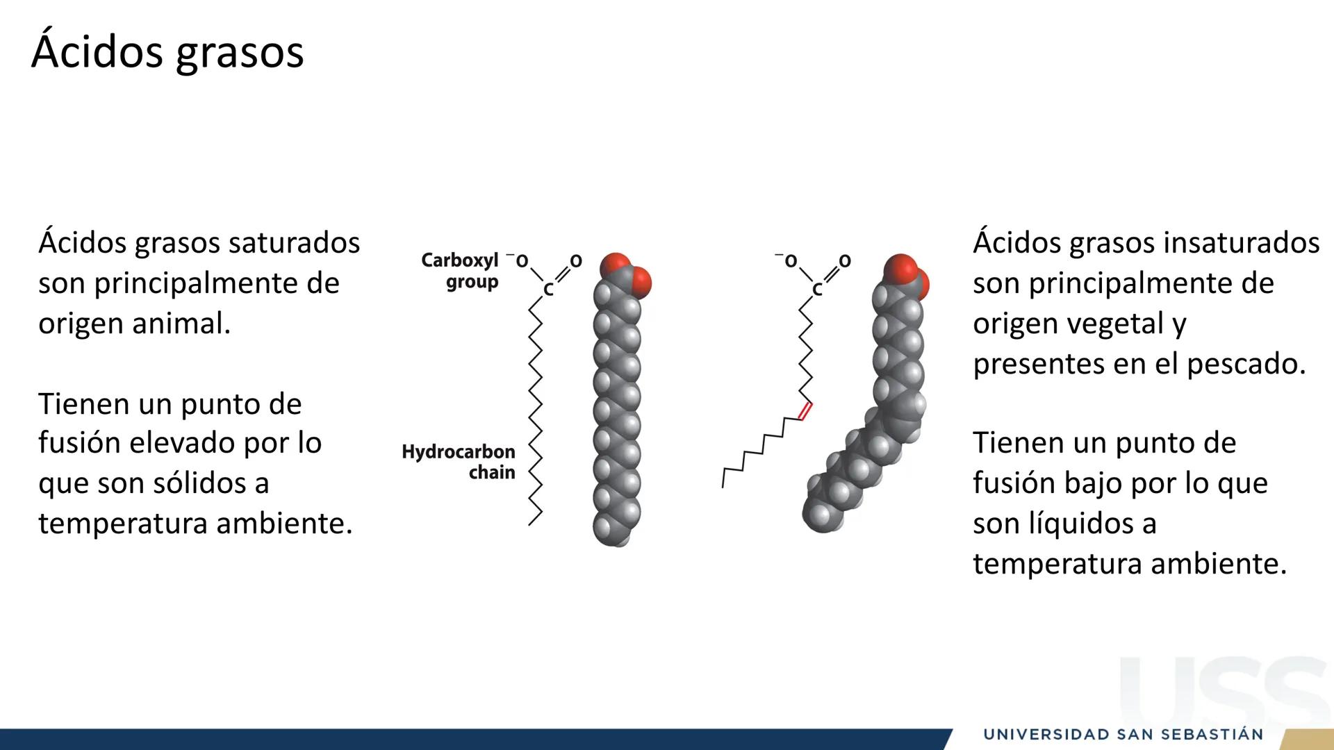 RAZON
VERDAD

+++
1989
UNIVERSIDAD
SAN SEBASTIAN
Ilumina el futuro

DBIO1092:
BIOQUÍMICA GENERAL
TEÓRICO RAZON
VERDAD
+++
1989
UNIVERSIDAD
S