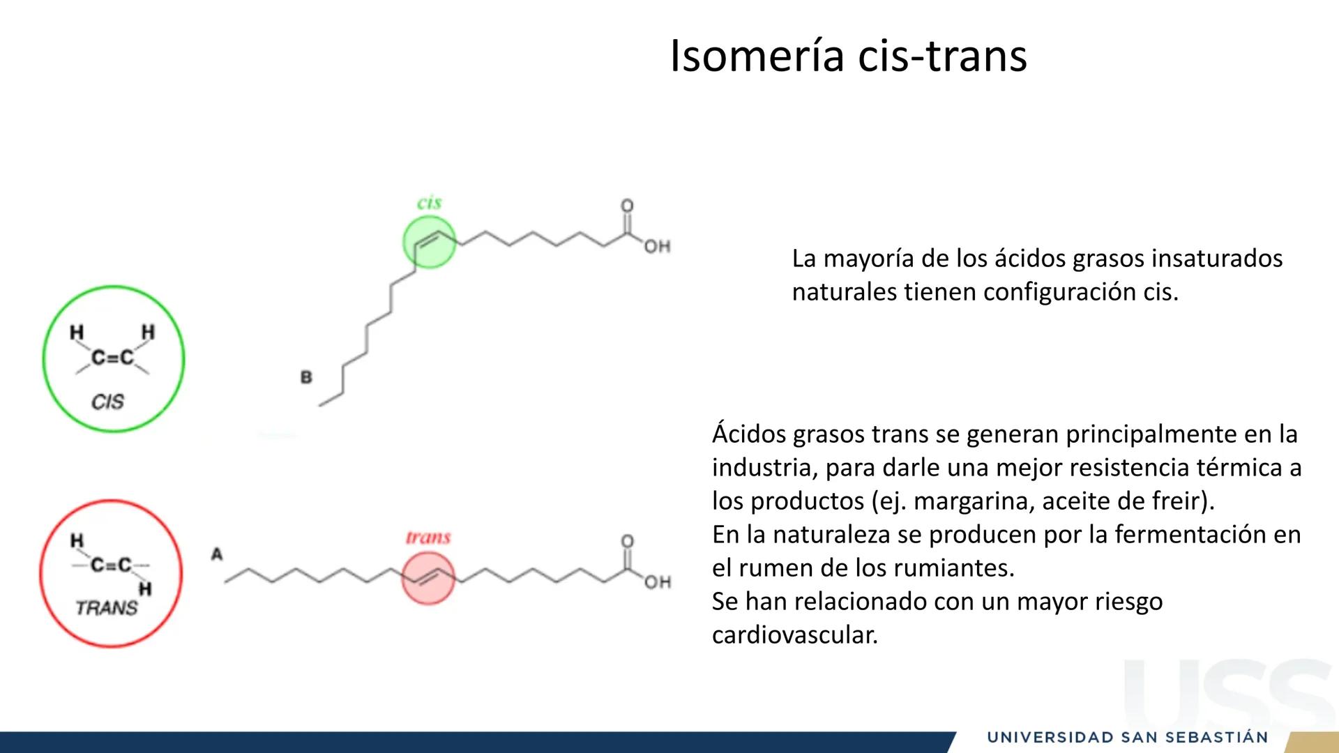RAZON
VERDAD

+++
1989
UNIVERSIDAD
SAN SEBASTIAN
Ilumina el futuro

DBIO1092:
BIOQUÍMICA GENERAL
TEÓRICO RAZON
VERDAD
+++
1989
UNIVERSIDAD
S
