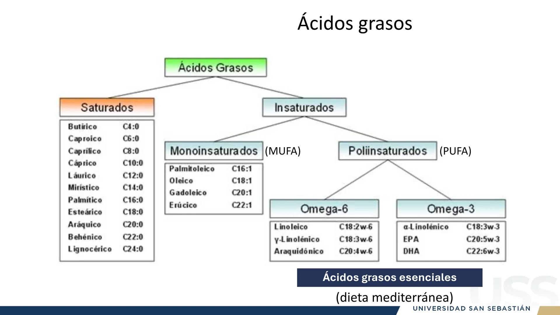 RAZON
VERDAD

+++
1989
UNIVERSIDAD
SAN SEBASTIAN
Ilumina el futuro

DBIO1092:
BIOQUÍMICA GENERAL
TEÓRICO RAZON
VERDAD
+++
1989
UNIVERSIDAD
S