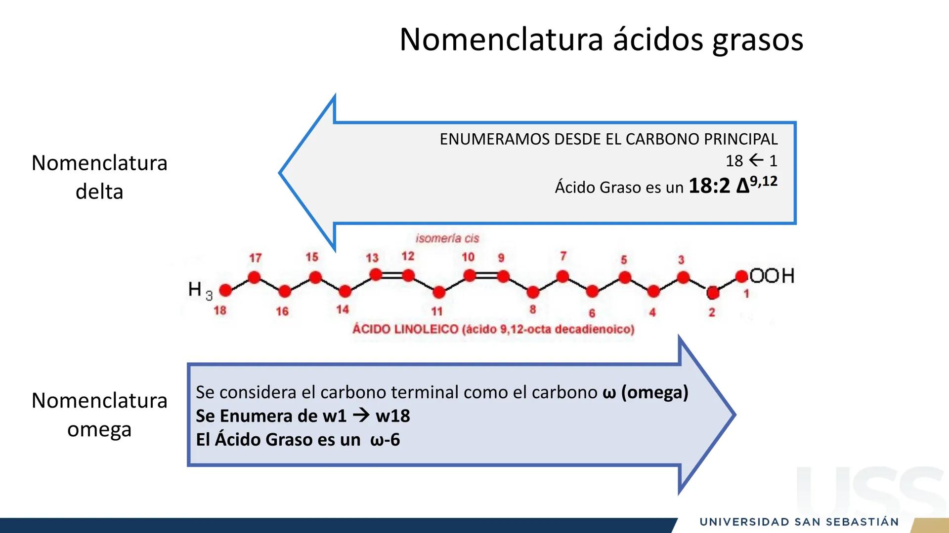 RAZON
VERDAD

+++
1989
UNIVERSIDAD
SAN SEBASTIAN
Ilumina el futuro

DBIO1092:
BIOQUÍMICA GENERAL
TEÓRICO RAZON
VERDAD
+++
1989
UNIVERSIDAD
S