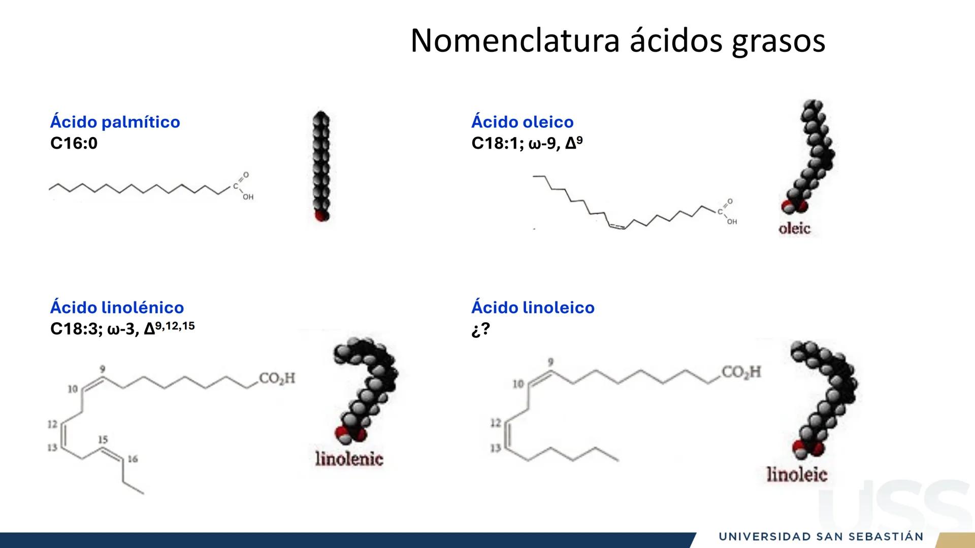 RAZON
VERDAD

+++
1989
UNIVERSIDAD
SAN SEBASTIAN
Ilumina el futuro

DBIO1092:
BIOQUÍMICA GENERAL
TEÓRICO RAZON
VERDAD
+++
1989
UNIVERSIDAD
S