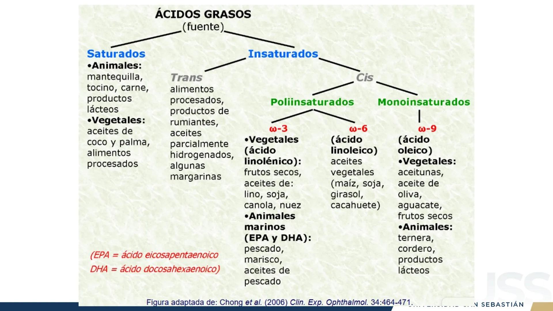 RAZON
VERDAD

+++
1989
UNIVERSIDAD
SAN SEBASTIAN
Ilumina el futuro

DBIO1092:
BIOQUÍMICA GENERAL
TEÓRICO RAZON
VERDAD
+++
1989
UNIVERSIDAD
S